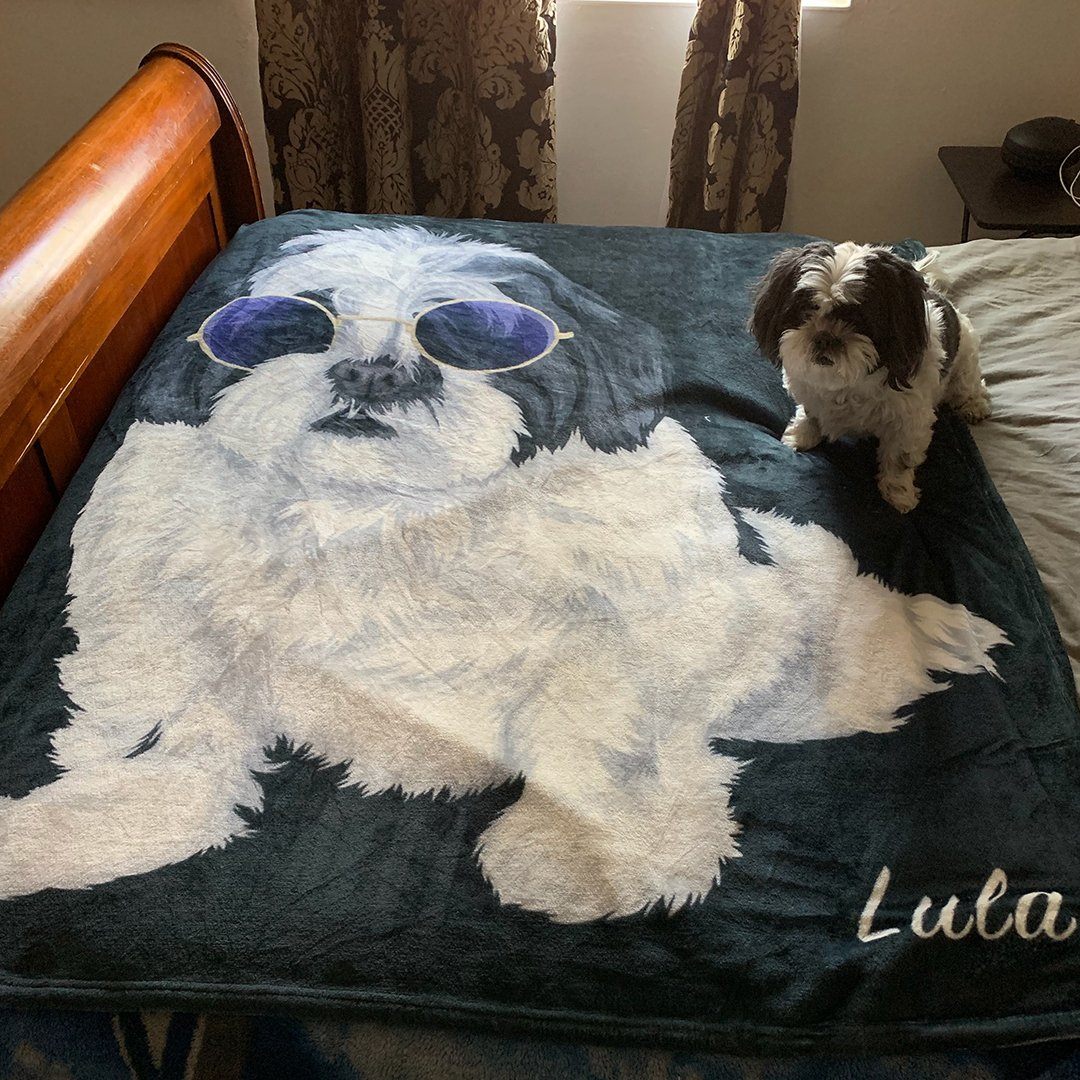 Your Pet on a Blanket - Image 12