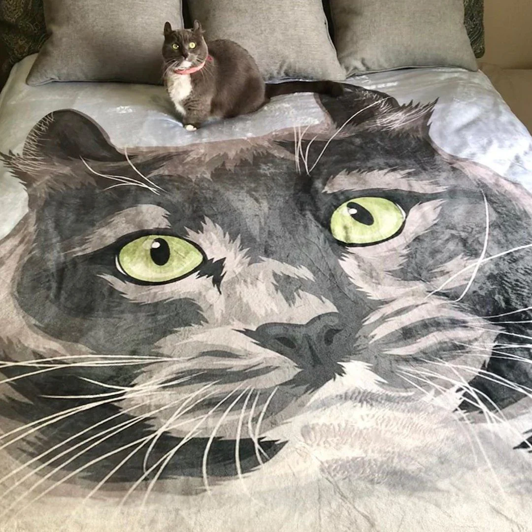 Your Pet on a Blanket - Image 16