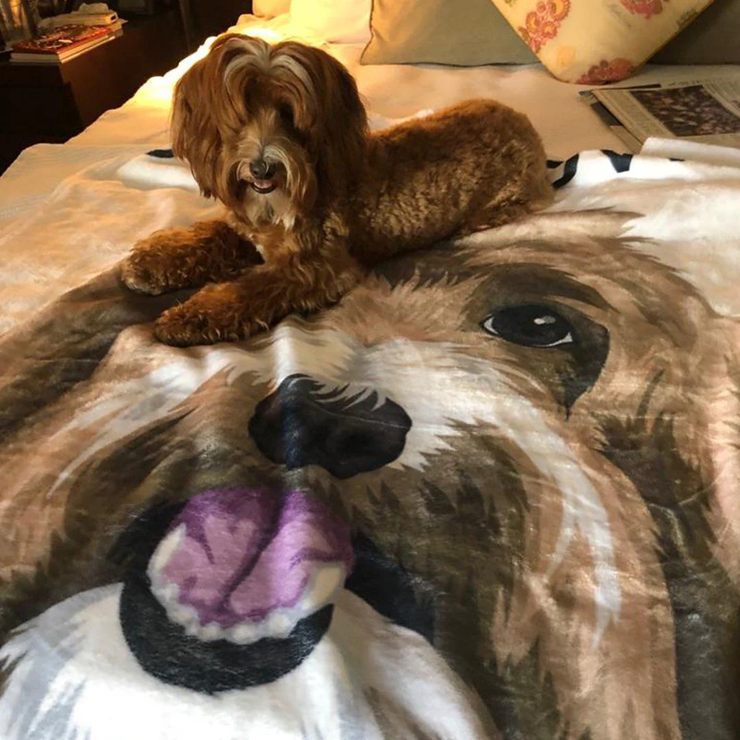 Your Pet on a Blanket - Image 17